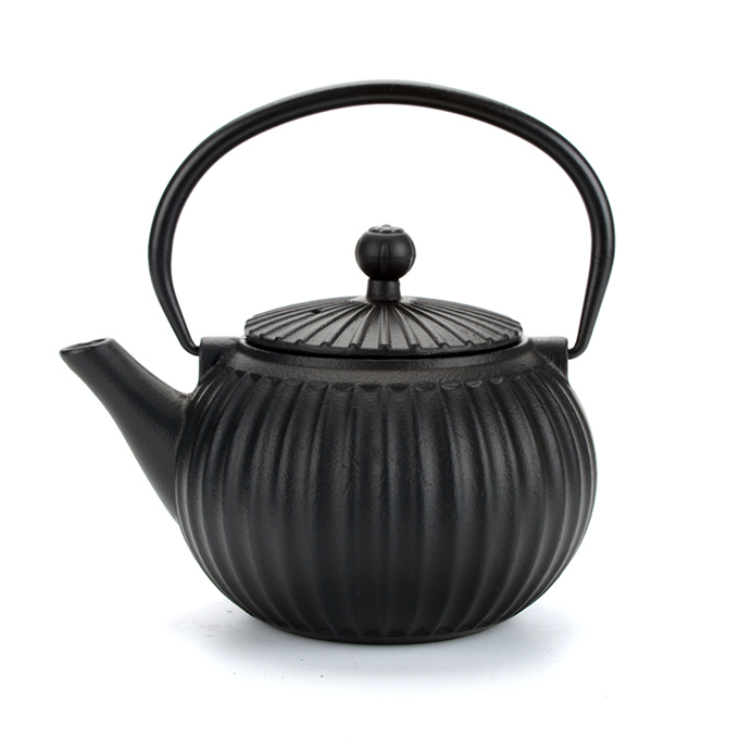 Cast Iron Tea Kettle Pot with Infuser Japanese Tetsubin