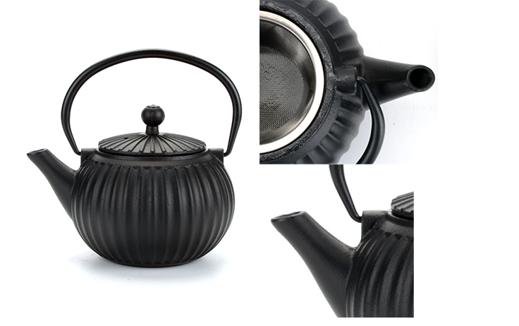 Cast Iron Tea Kettle Pot with Infuser Japanese Tetsubin
